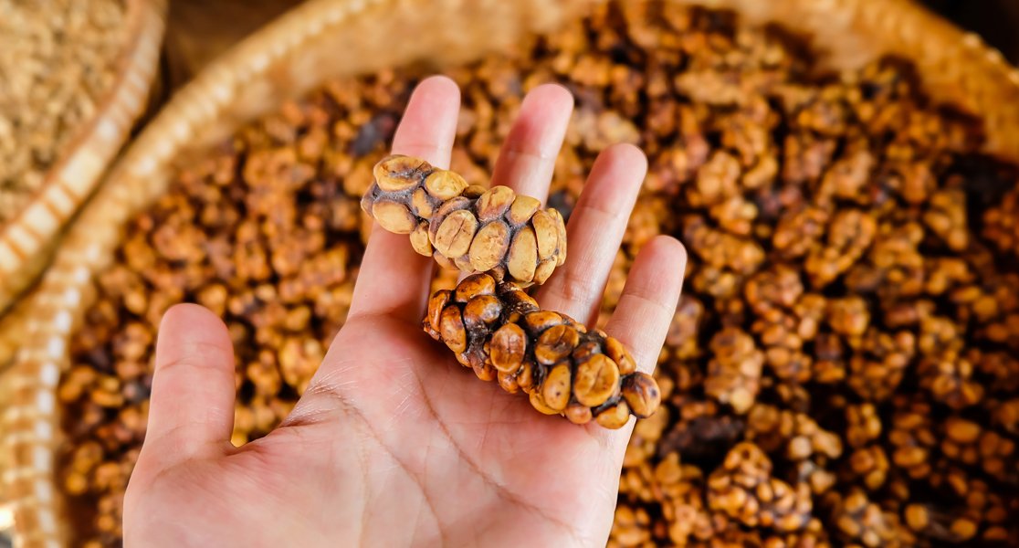 أغرب أنواع القهوة في العالم