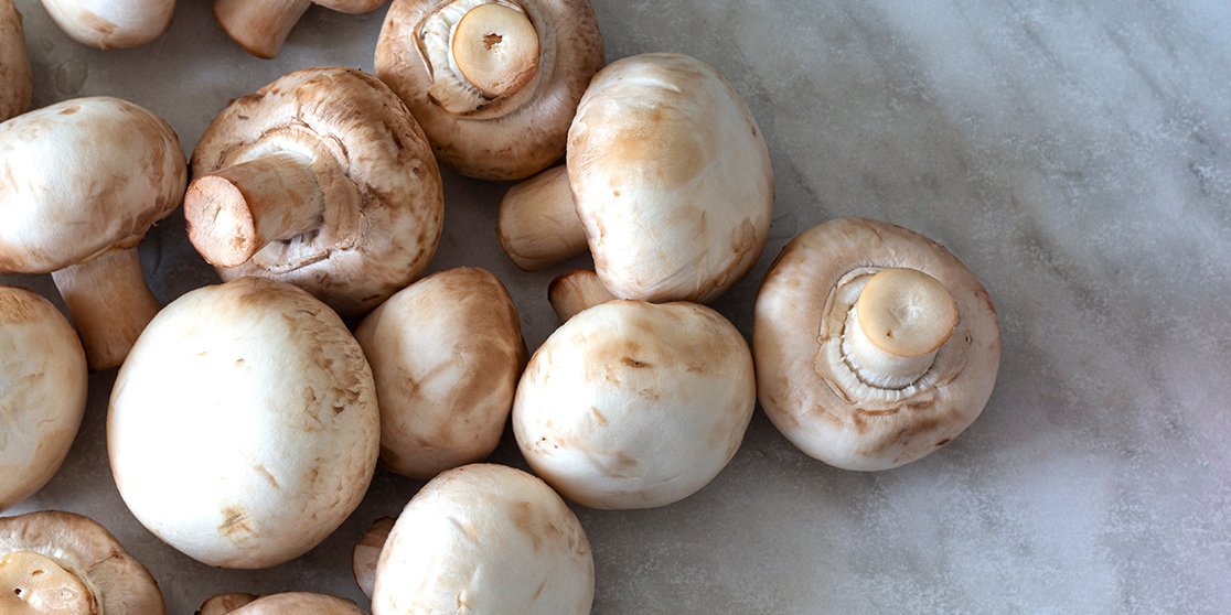 أنواع المشروم وفوائده